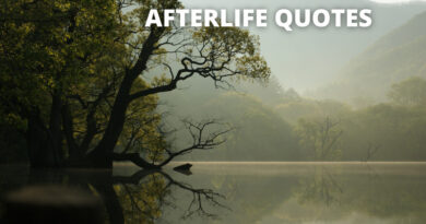 Afterlife Quotes featured