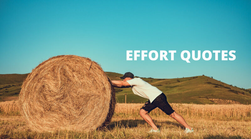 65 Best Effort Quotes On Success In Life OverallMotivation