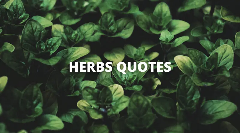 65 Herb Quotes On Success In Life OverallMotivation