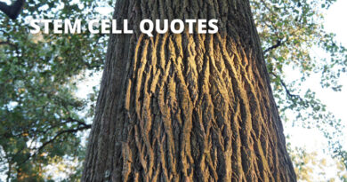 Stem Cell Research Quotes featured