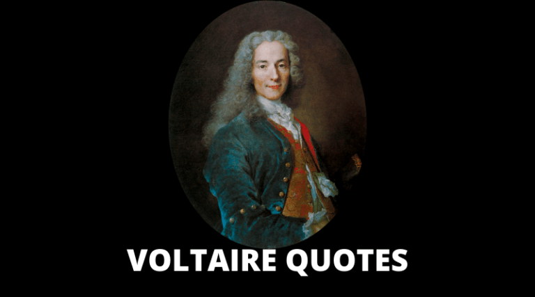 45-voltaire-quotes-on-freedom-of-speech-religion-government