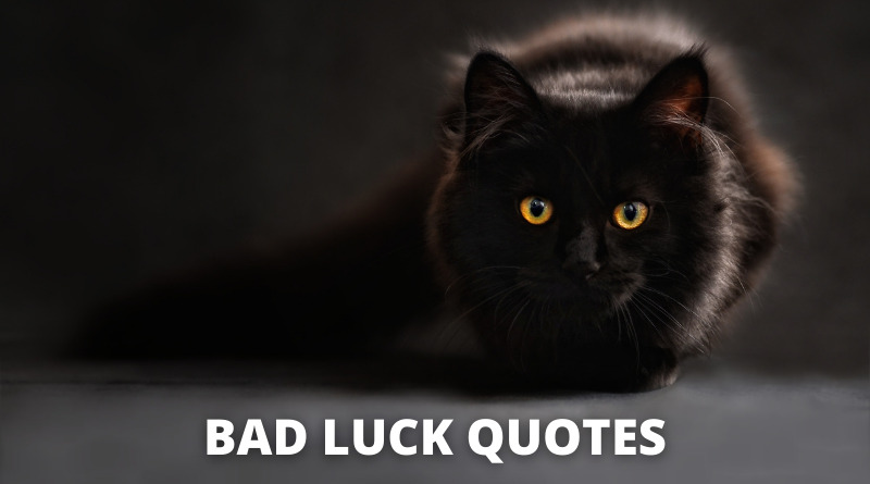 65 Bad Luck Quotes For Success In Life OverallMotivation