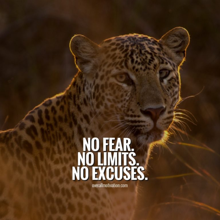 Excuses Quotes Stop Making Excuses Quotes Overallmotivation