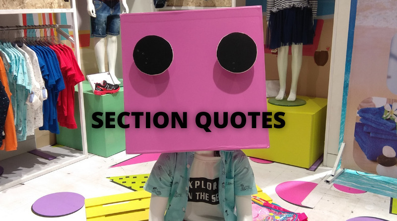 section quotes featured